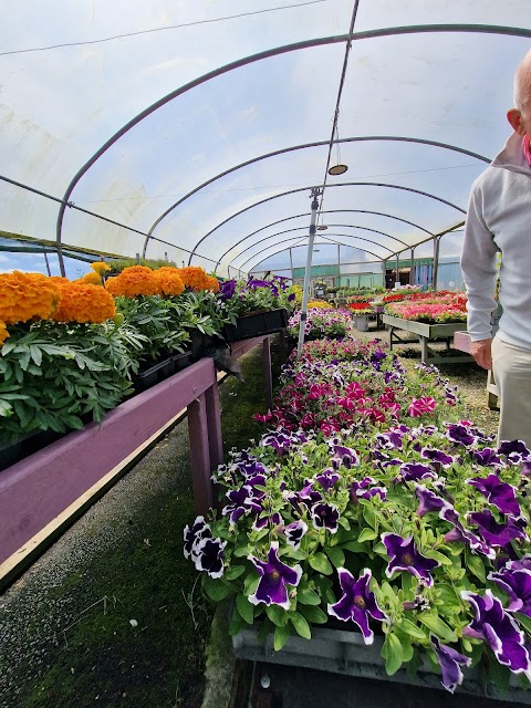 Busy Bee Garden Centre & Tea Rooms