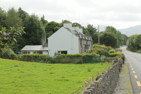 Forest View House