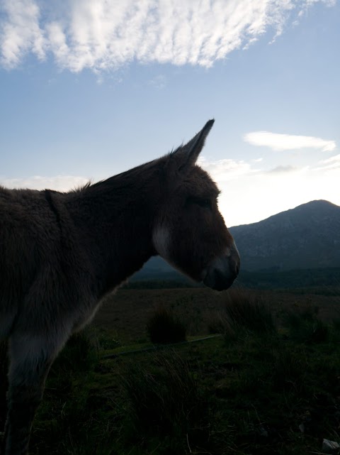 Connemara Mountain Hostel (GOEC Ltd)