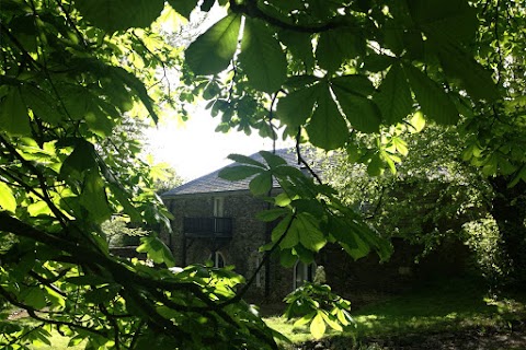 Woodstock Courtyard