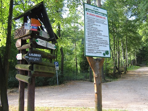 Park Cygański Las w Bielsku-Białej