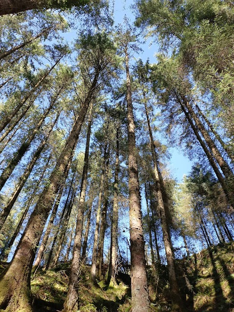 Monicknew- Slieve Bloom Mountain’s track