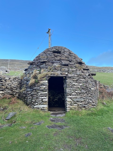 Dingle Slea Head Tours