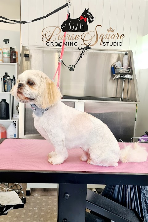 Dog Grooming Pearse Square Cork