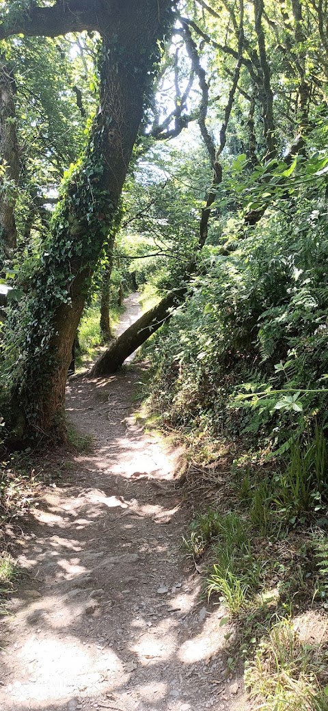 Lough Hyne