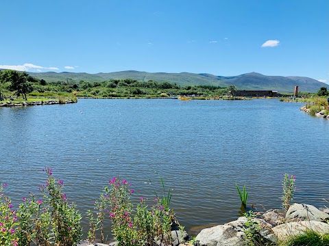 Tralee Bay Wetlands Eco & Activity Park