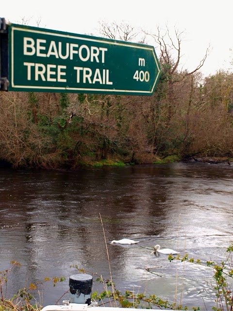 Bridge river