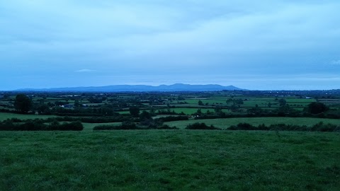 Carrigmore Farm