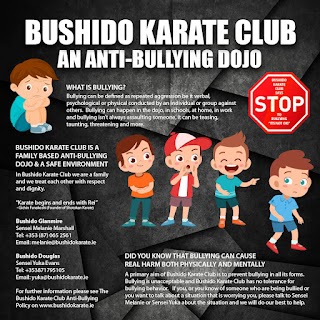 Bushido Karate Club Glanmire