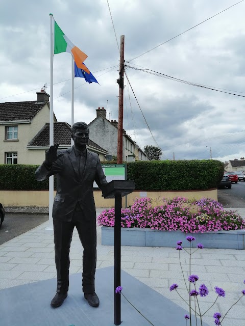 Thomas Fitzgerald Centre, Bruff