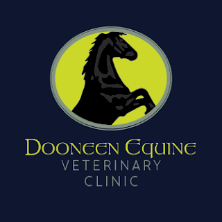 Dooneen Equine Veterinary Clinic