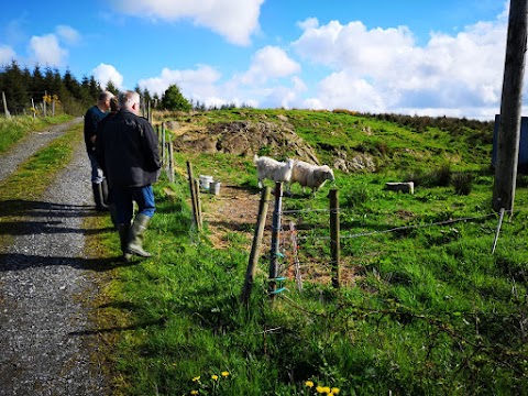 Ireland West Farm Stay