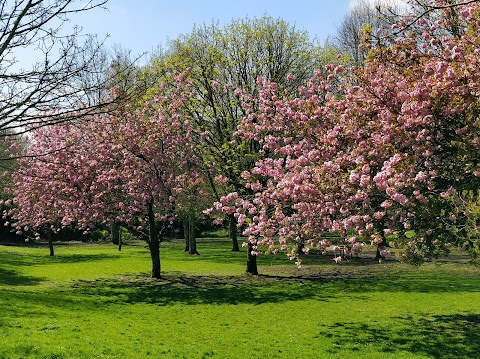 Japanese Gardens