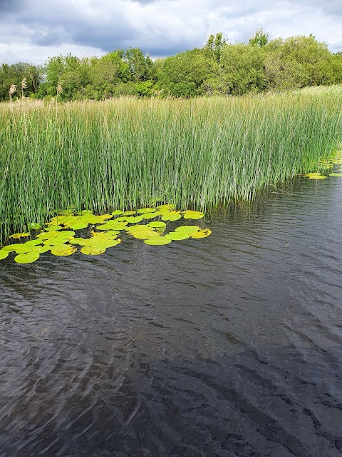 Lough Derg Water Sports