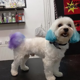 Salon Fryzjerski Dla Psów "Trendy Dog"