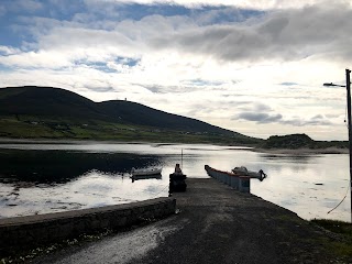 Gaelcholáiste Chomáin