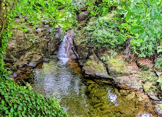 Silver River Gorge