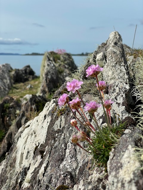 Helen's Secret Bay