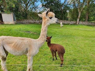 Stonehall Visitor Farm