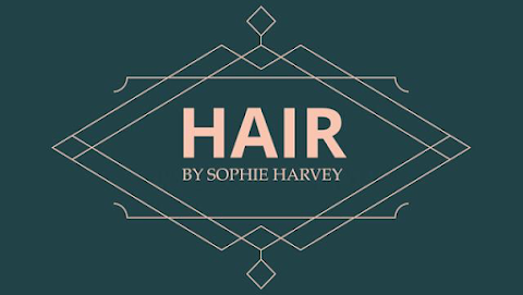 HAIRbysophieharvey