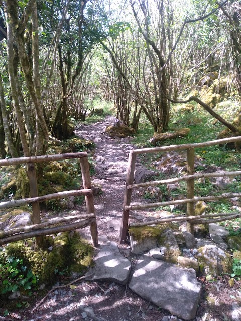 Holy Well