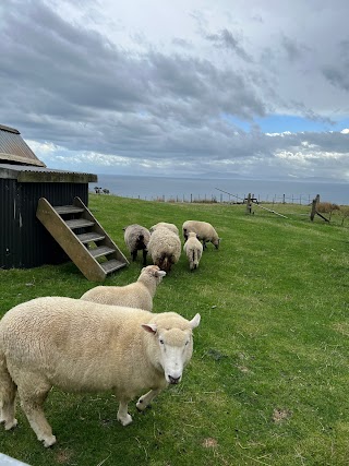 Tussock Ridge Farm Tours