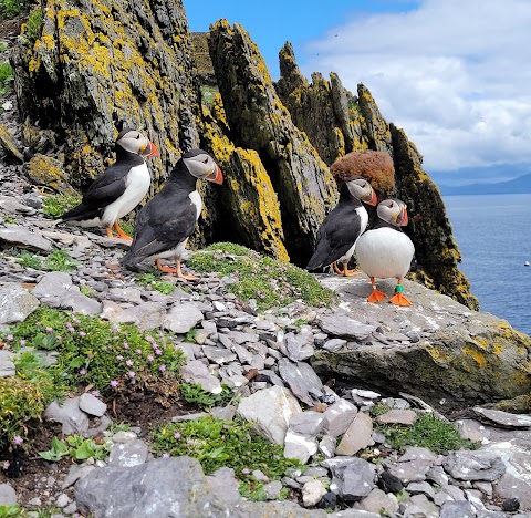 Skellig Coast Adventures