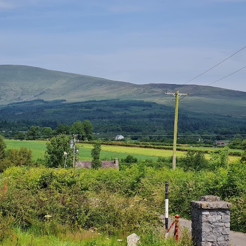 Mitchelstown Cave