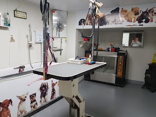 Dusty's Dog Grooming