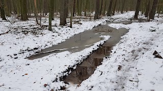 Uroczysko Stary Ogród