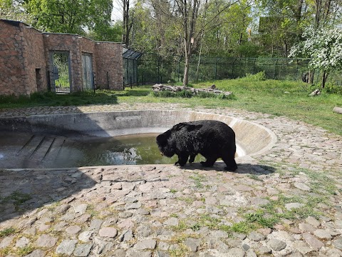 Ogród Zoobotaniczny w Toruniu