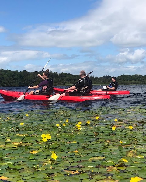 Killarney Boat Tours