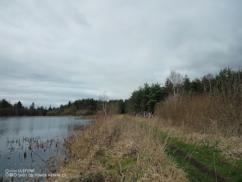 Derryounce Lakes and Walkways