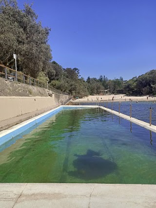 The Geoff James Pool (Clovelly Ocean Pool)