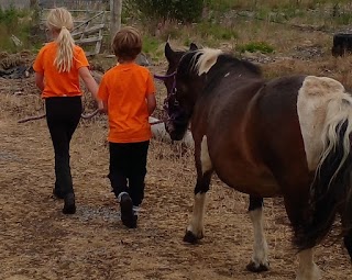 Roscommon Equestrian Centre