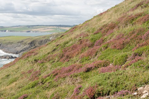 Old Head Car Park