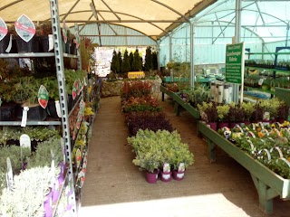 Joyces Garden Centre