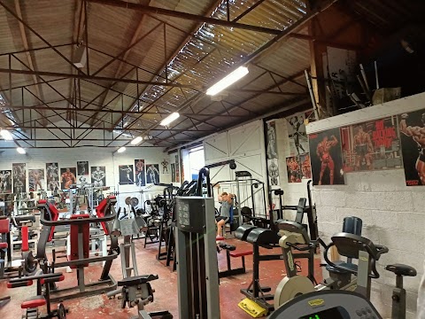 Kings gym