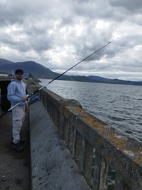 Fenit