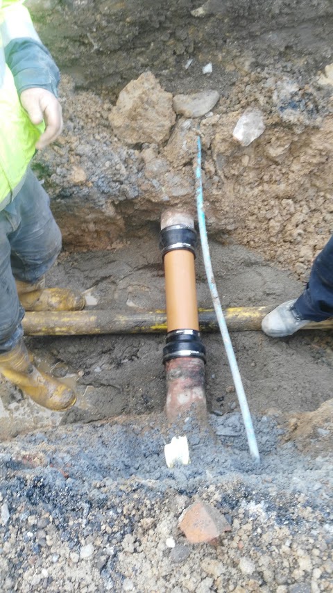 Drain repair services