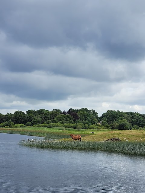 Viking Tours Ireland