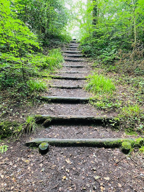 Reenagross Woodland Park Kenmare