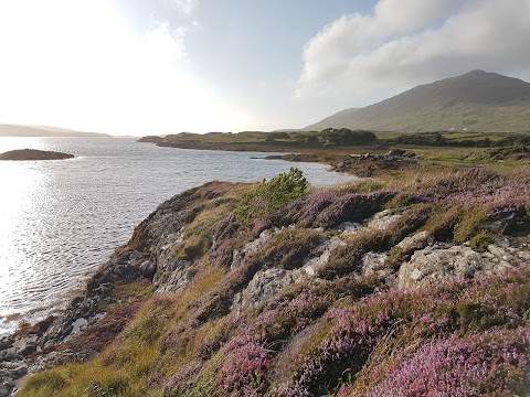 Ballinakill Lodge