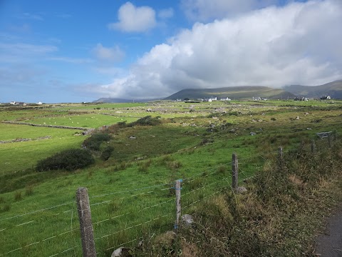 SEA VIEW EQUESTRIAN