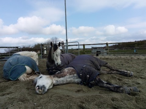 Carmen's Riding School