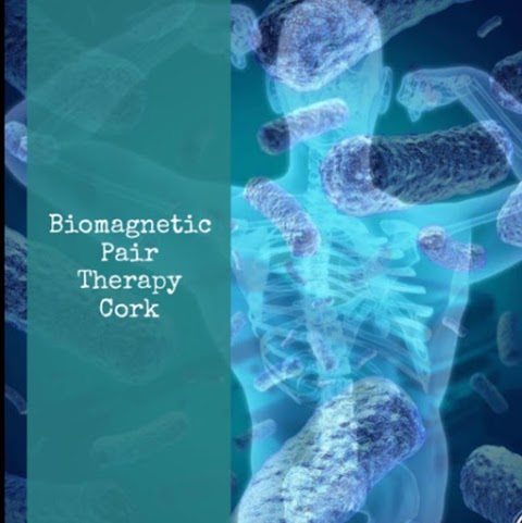 Biomagnetisim/ Biomagnetic Pair Therapy Cork. Philippa Swalbe - Lyme Disease