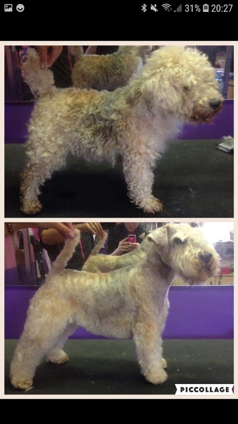 Muddy Paws Dog Grooming