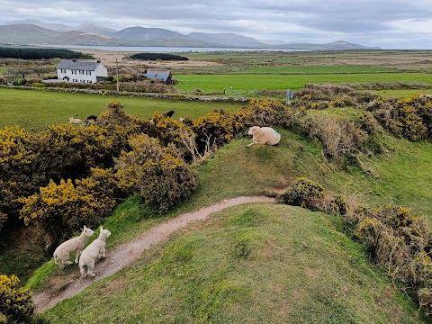 Lios Stone Circle & Animal Feeding