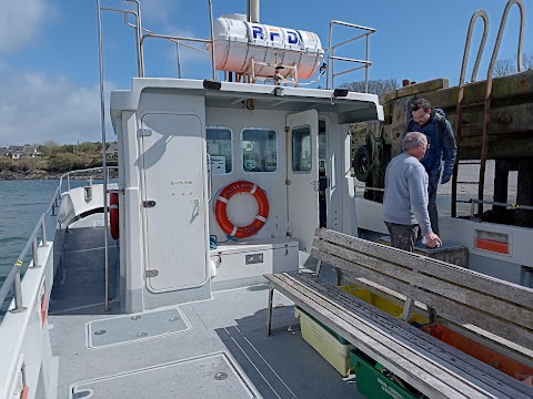 Cork Whale Watch