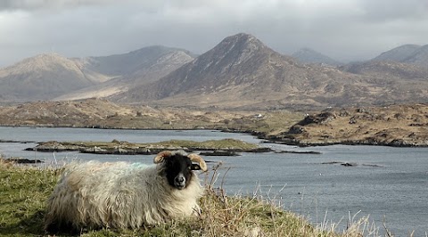 Connemara Adventure Tours